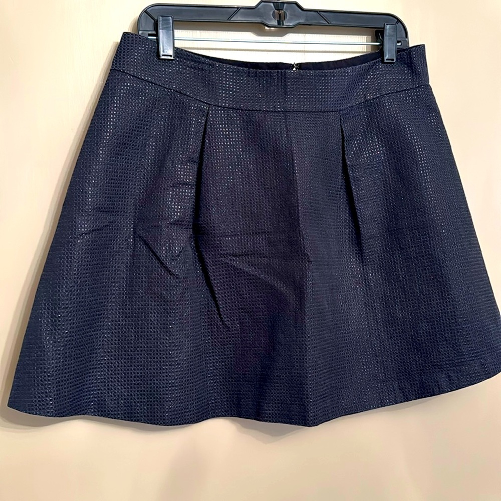 Banana Republic Skirt